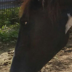 Meet your Posher, Lanee